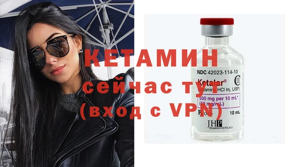 крисы Баксан