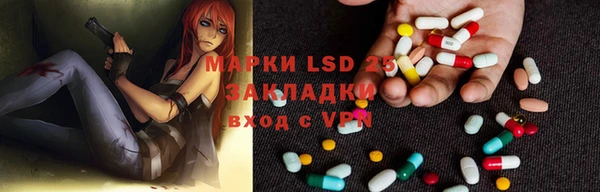 крисы Баксан