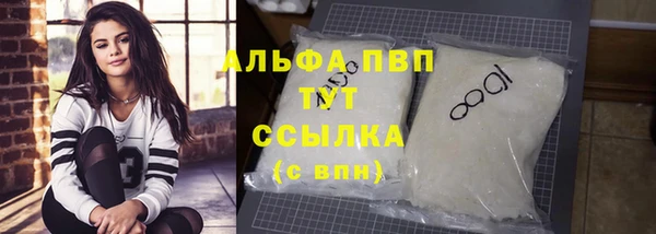 крисы Баксан