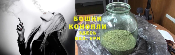 крисы Баксан