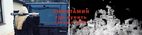 крисы Баксан
