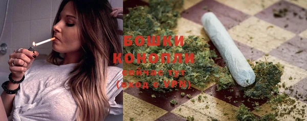 крисы Баксан